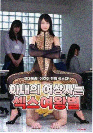 排播资讯配图:松石绿时间轴与铜棕场次标记